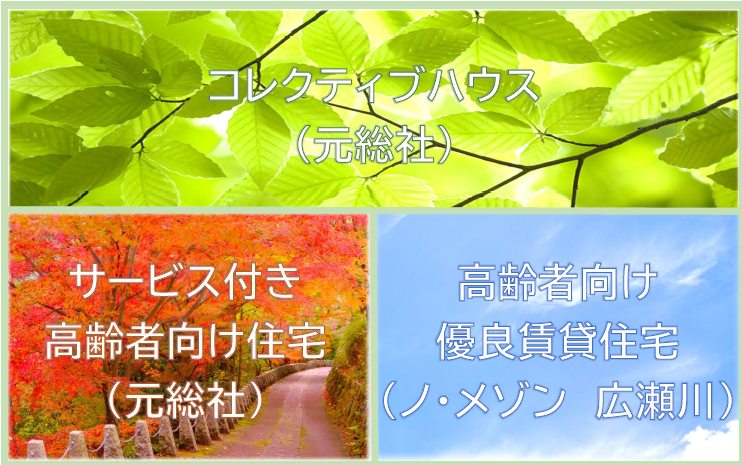 コレクティブハウス　サービス付き高齢者向け住宅